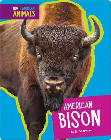 American Bison book