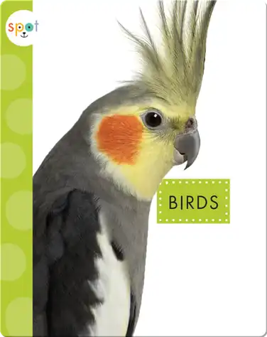 Birds book