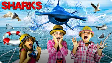 Learn About Sharks for Kids | Fun Facts About Hammerhead Sharks! book
