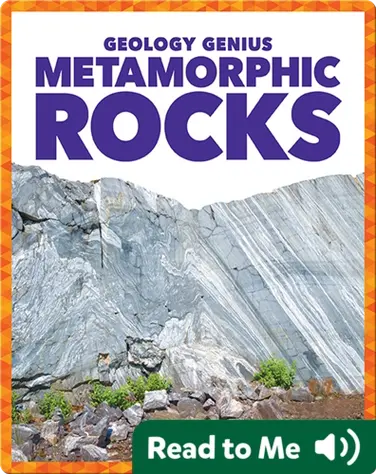 Metamorphic Rocks book