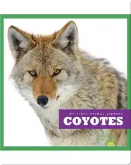 Coyotes