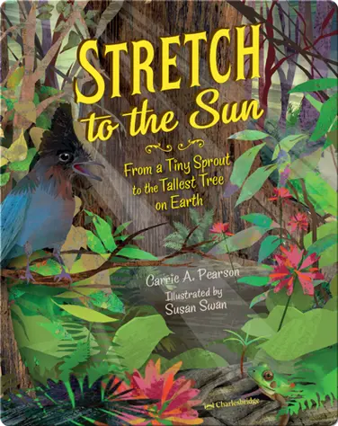 Stretch to the Sun book