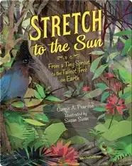 Stretch to the Sun