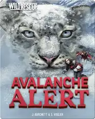 Avalanche Alert