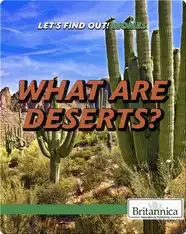 What Are Deserts?