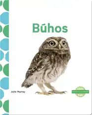 Búhos