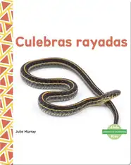 Culebras rayadas