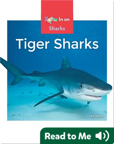 Tiger Sharks book