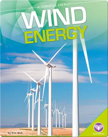 Wind Energy book