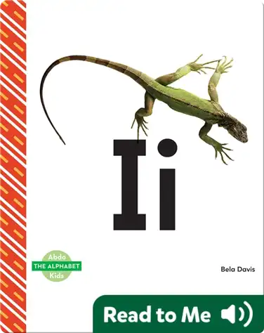 The Alphabet: Ii book