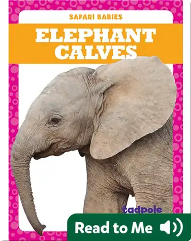 Elephant Calves book