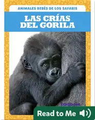 Las crías del gorila (Gorilla Infants)