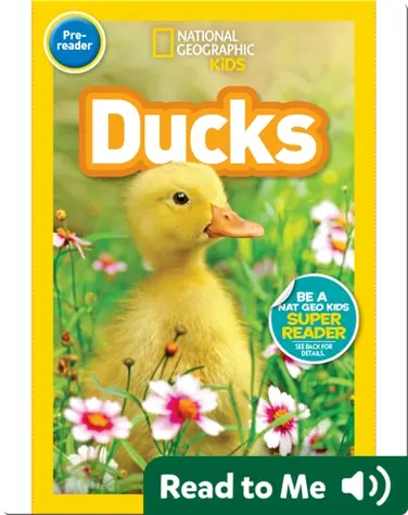 National Geographic Readers: Ducks (Pre-reader) book