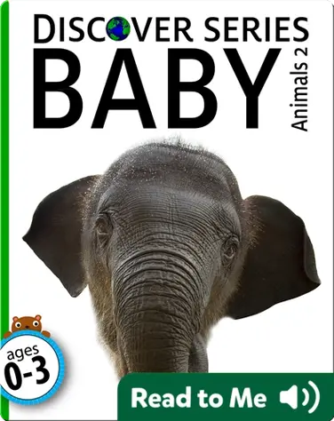 Baby Animals 2 book
