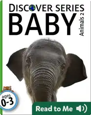 Baby Animals 2