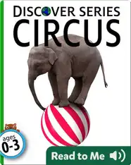 Circus
