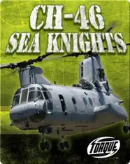 CH-46 Sea Knights