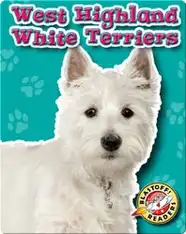 West Highland White Terriers: Dog Breeds
