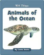 Animals of the Ocean