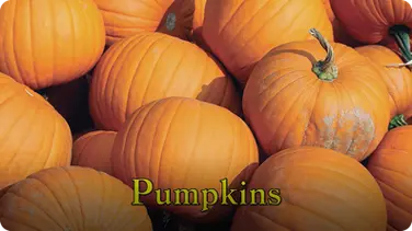 Pumpkins (Are My Favorite Fruit) book