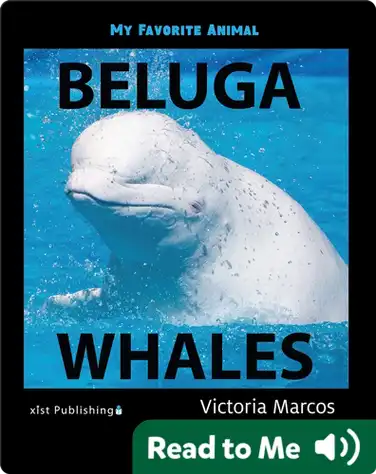 My Favorite Animal: Beluga Whales book
