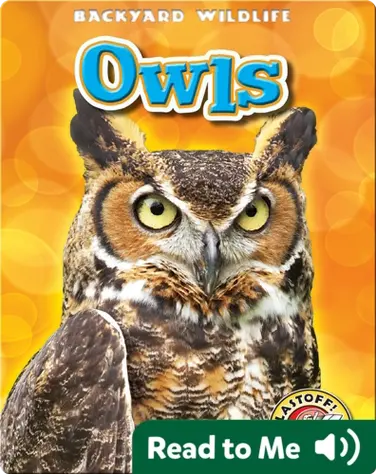 Owls: Backyard Wildlife book