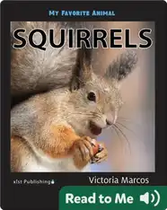 My Favorite Animal: Squirrels