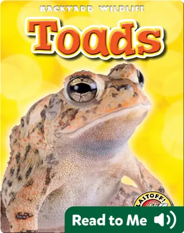 Toads: Backyard Wildlife book