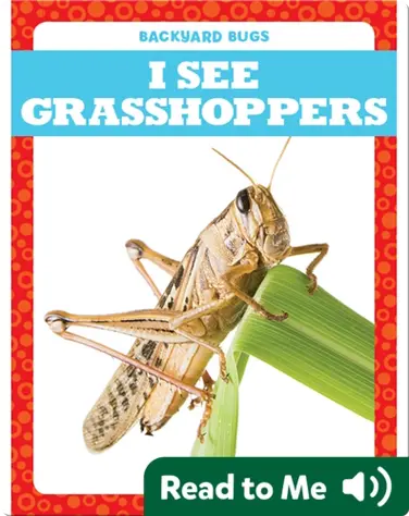 I See Grasshoppers book