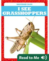 I See Grasshoppers