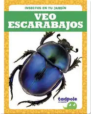 Insectos en tu jardín: Veo escarabajos