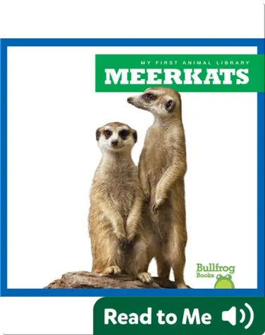 My First Animal Library: Meerkats book