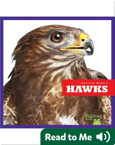 Raptor World: Hawks book