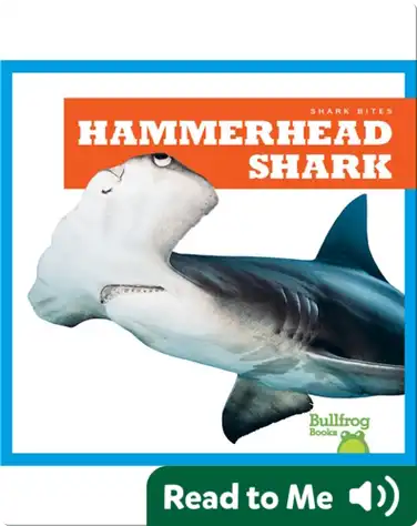 Shark Bites: Hammerhead Shark book