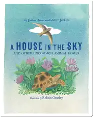 A House in the Sky
