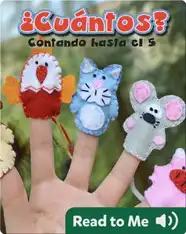 ¿Cuántos? Contando hasta el 5