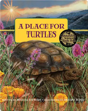 A Place for Turtles book