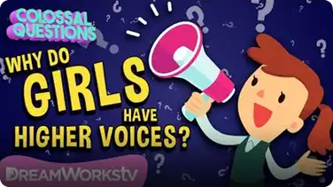 Why Do Girls Have Higher Voices? | COLOSSAL QUESTIONS book