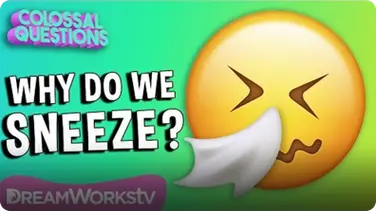 Why Do You Sneeze? | COLOSSAL QUESTIONS book