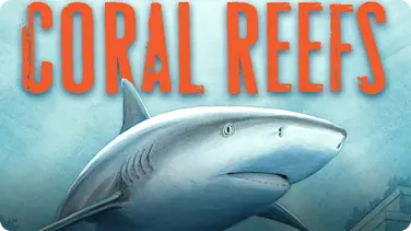 Coral Reefs: A Journey Through an Aquatic World Full of Wonder book