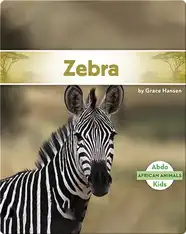 Zebra