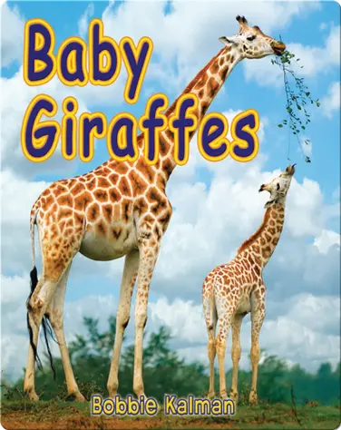 Baby Giraffes book