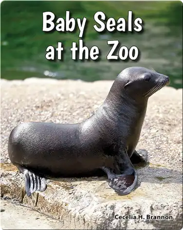 Baby Seals at the Zoo book