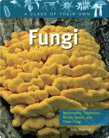 Fungi: Mushrooms, Toadstools, Molds, Yeasts, and other Fungi book