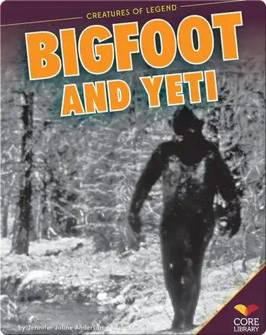 Big Foot and Yeti book