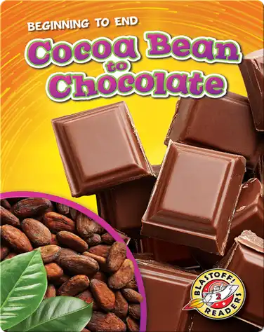 Cocoa Bean to Chocolate book
