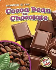 Cocoa Bean to Chocolate