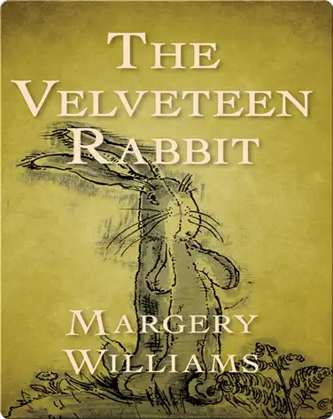 The Velveteen Rabbit book