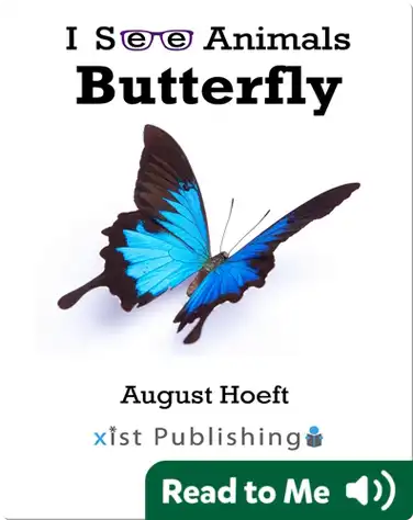 I See Animals: Butterfly book