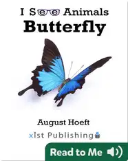 I See Animals: Butterfly